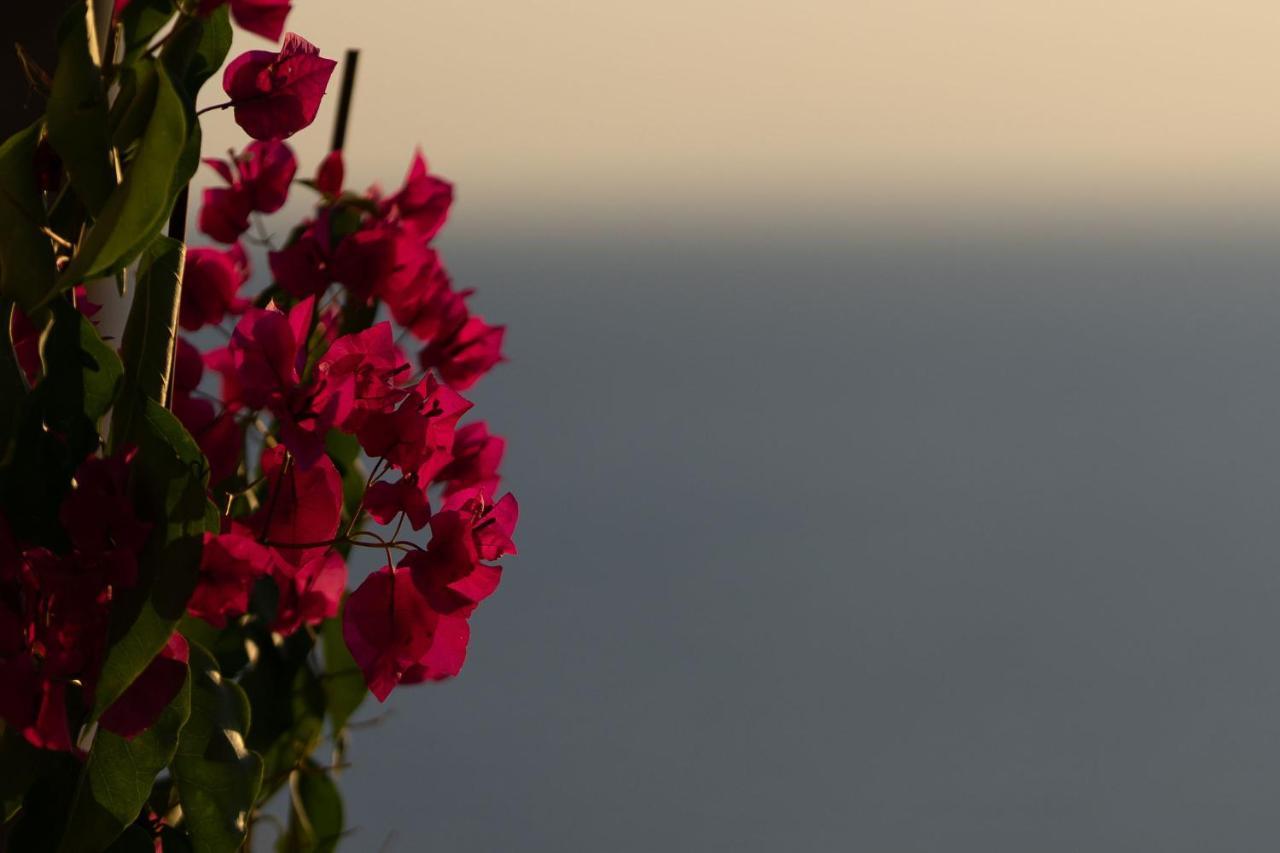 Villa Carpe Diem: Sea & Sunset View In Kea Island Ioulis Exterior foto